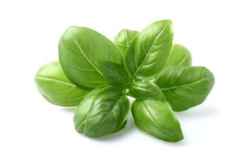 מארז בזיליקום