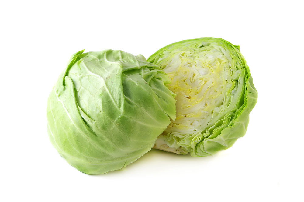 כרוב לבן | יחידה