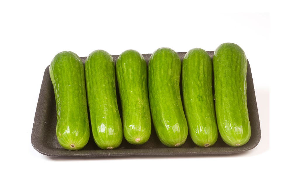 מארז מלפפון מיני