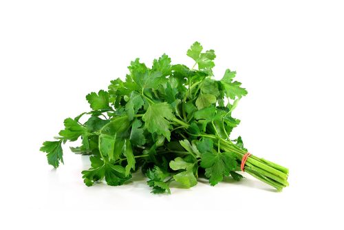 פטרוזליה בשקית