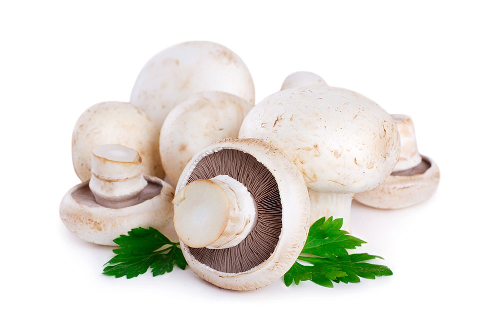 מארז פטריות שמפניון