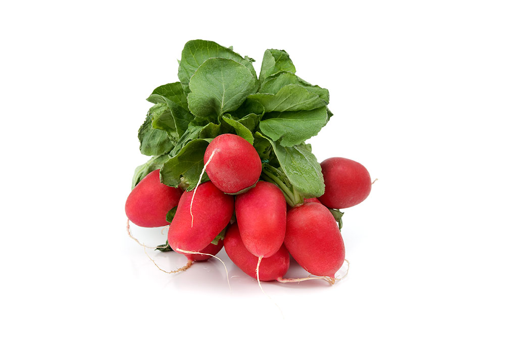 מארז צנונית