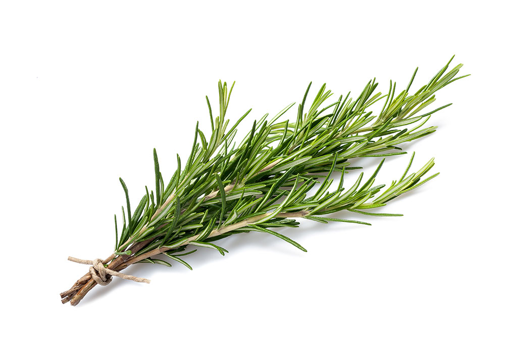 מארז רוזמרין