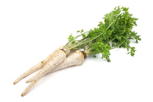 שורש פטרוזליה