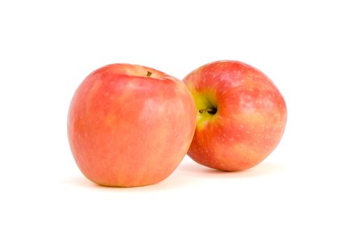 תפוח עץ פינק ליידי