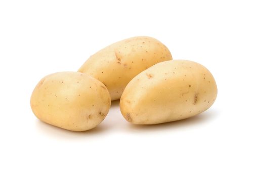 מארז תפו״א דוד משה לבן