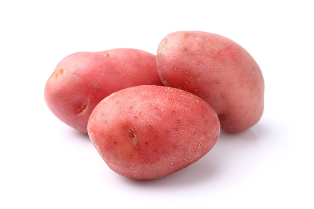 מארז תפו״א דוד משה אדום